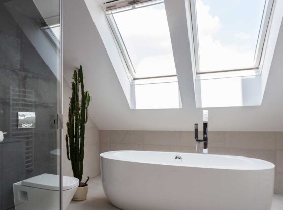 Skylights above a white bath