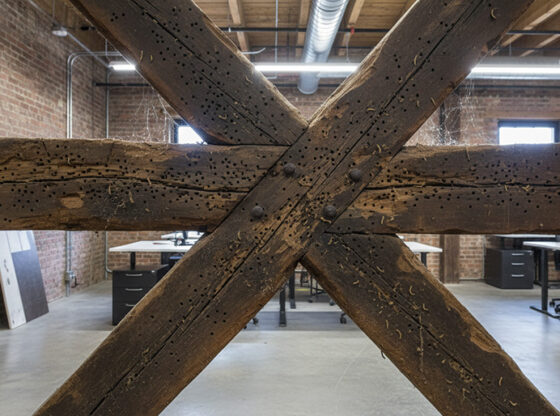 Woodworm on Beams in an Office Building