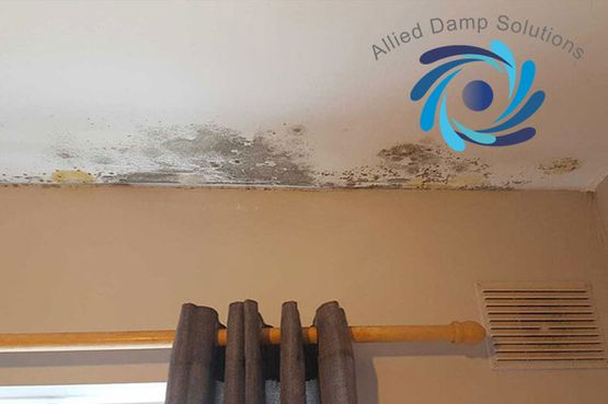 Mould Condensation