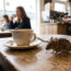 Mouse on a coffee Table in a cafe