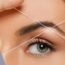 eyebrow restoration