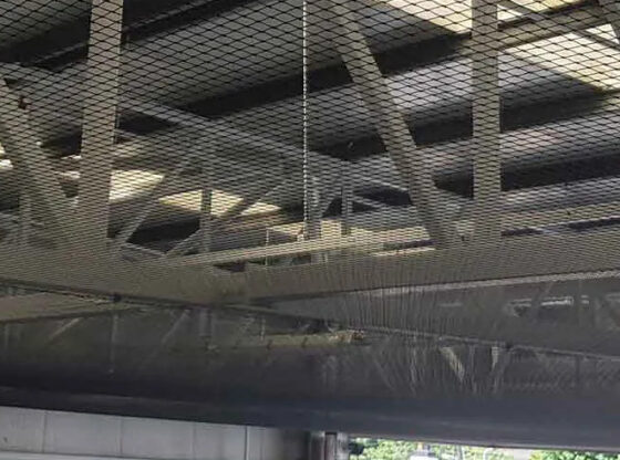 pigeon netting