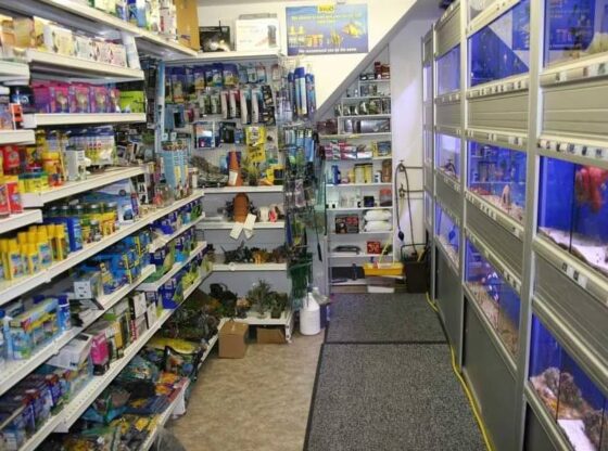 Pet Shop